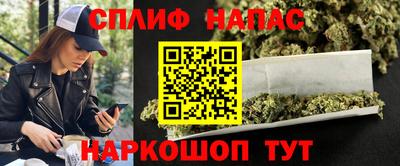 дживик Аша