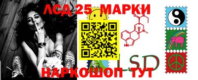 гидра Ачхой-Мартан