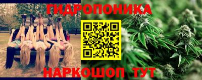 гидра Ачхой-Мартан
