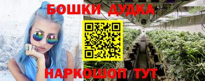 дживик Аша