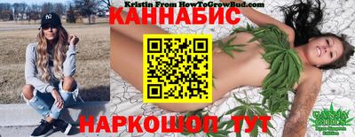 гидра Ачхой-Мартан