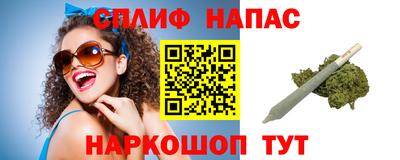 дживик Аша