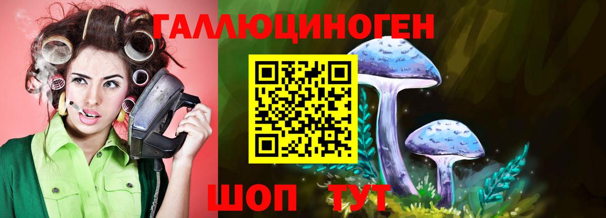 Псилоцибиновые грибы GOLDEN TEACHER Нальчик