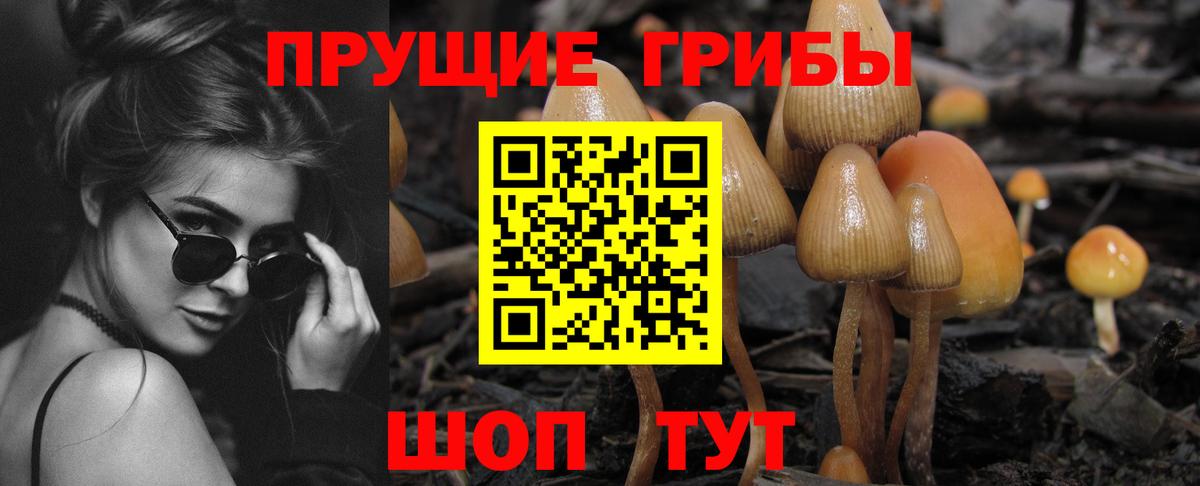 Псилоцибиновые грибы прущие грибы  Вход с VPN  Нальчик  Псилоцибиновые грибы MAGIC MUSHROOMS 